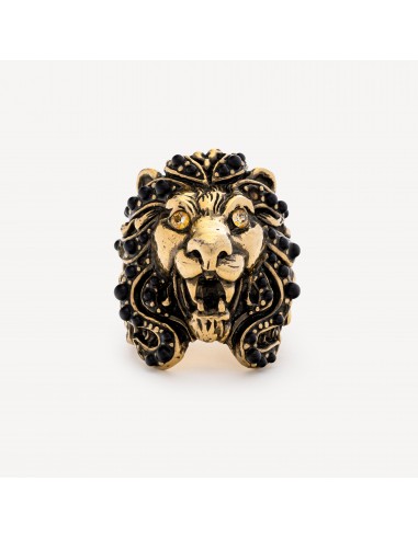 Bague Tête de Lion hantent personnes